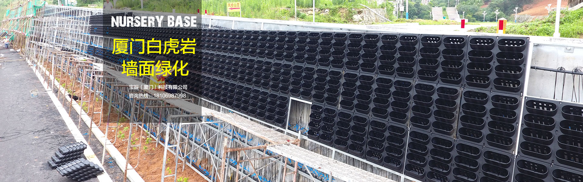 廈門(mén)白虎巖墻面立體綠化